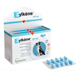 ZYLKENE 100X225MG