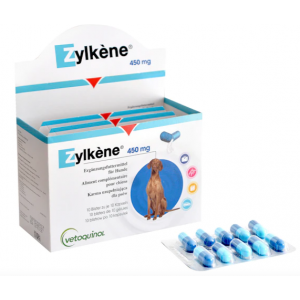 ZYLKENE 100X450MG