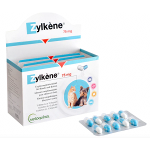 ZYLKENE 100X75MG