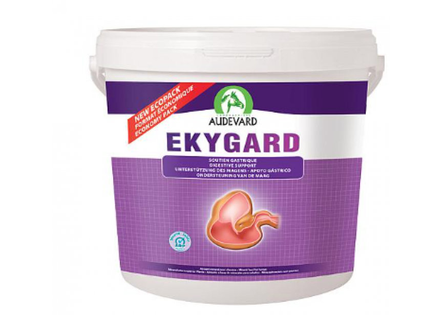 ekygard 6