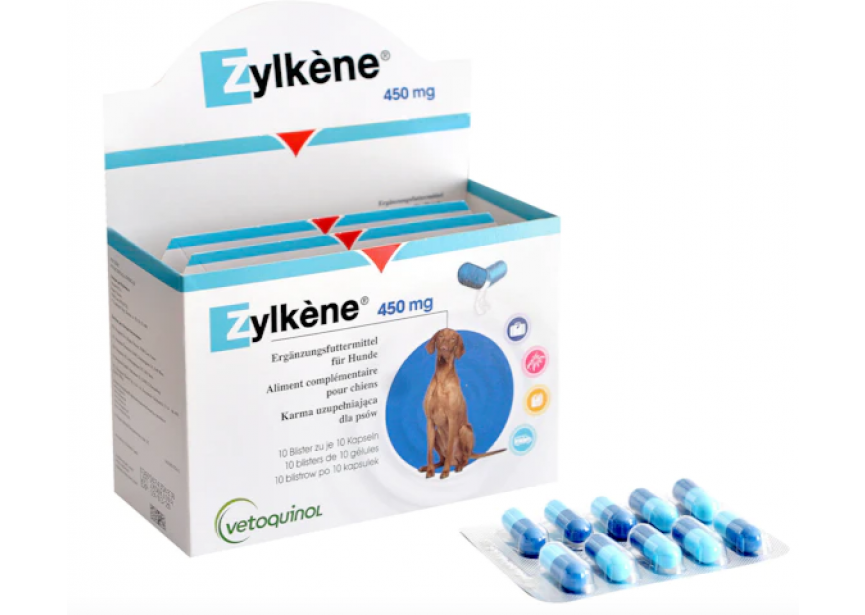 ZYLKENE 100X450MG