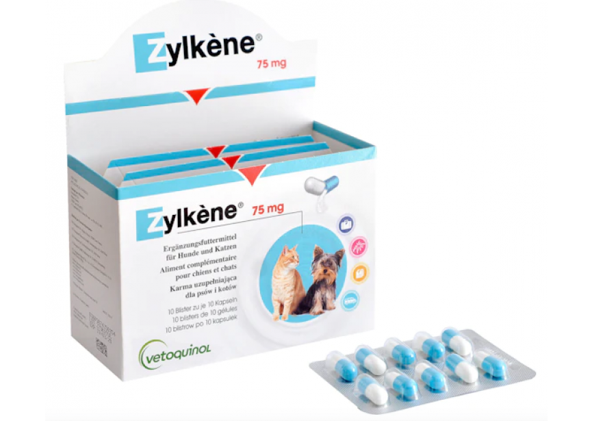 ZYLKENE 100X75MG