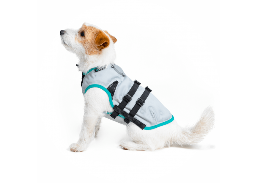 ©-MPS-CIRCLE-OVERVIEW-DRY-COOLING-VEST.DOG-05-V01.2019