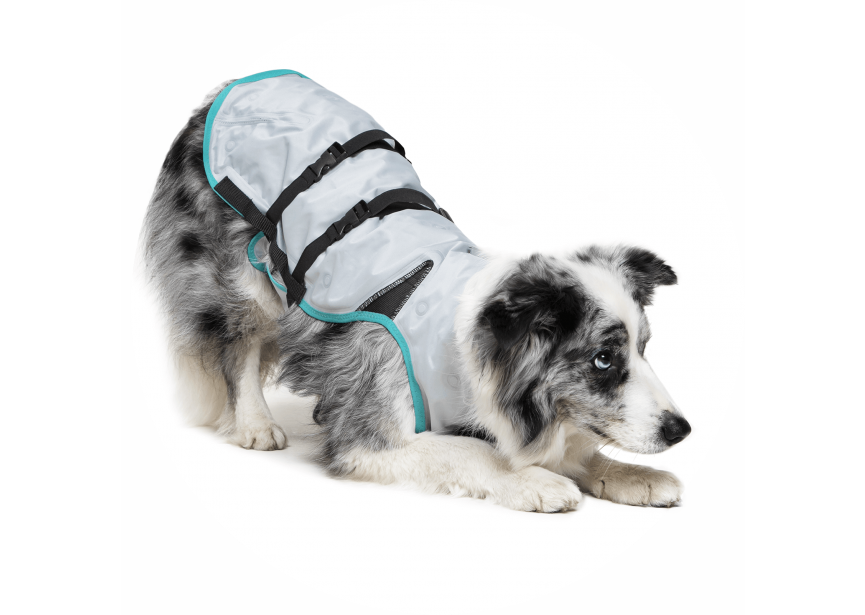 ©-MPS-CIRCLE-OVERVIEW-DRY-COOLING-VEST.DOG-04-V01.2019