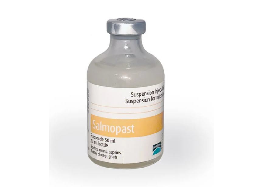 salmopast