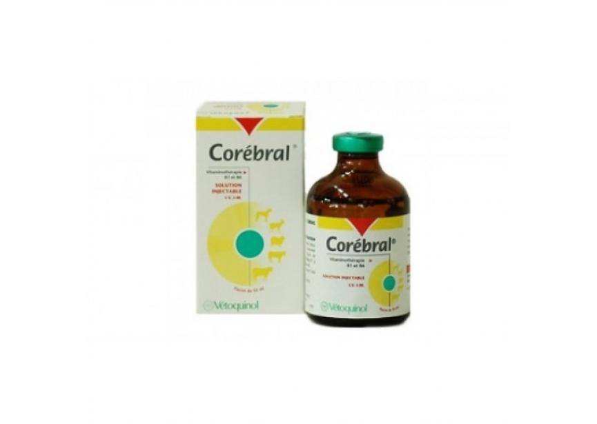 corebral_50_ml