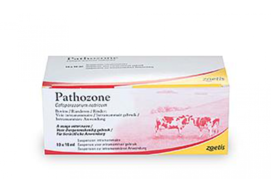 PATHOZONE