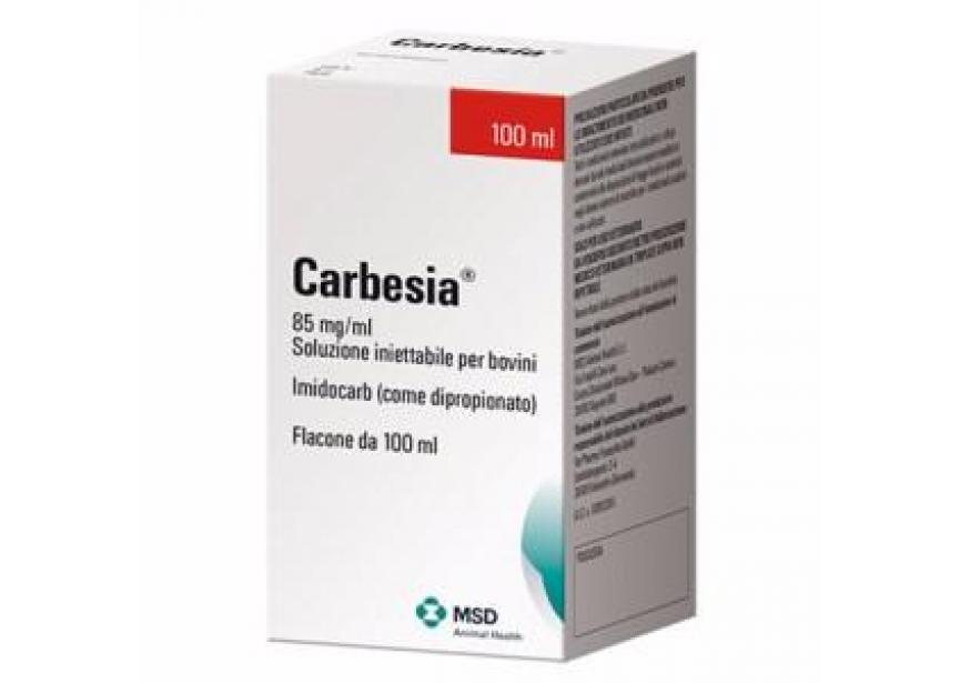 carbesia