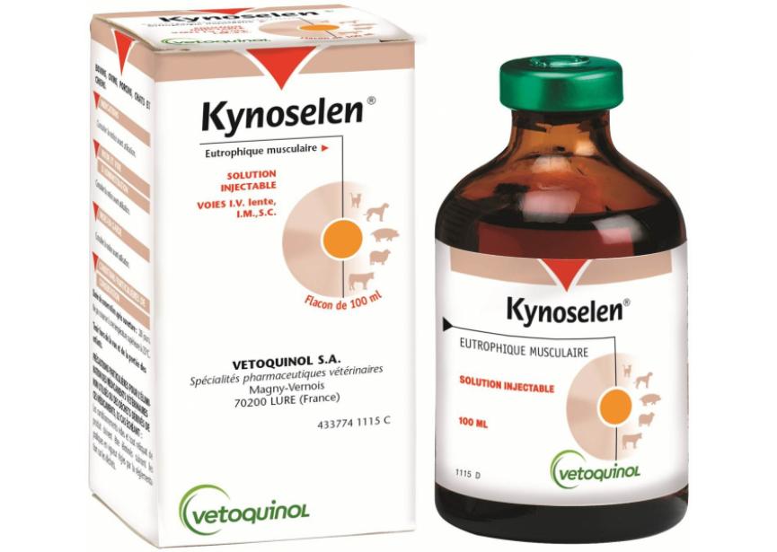 kynolesen