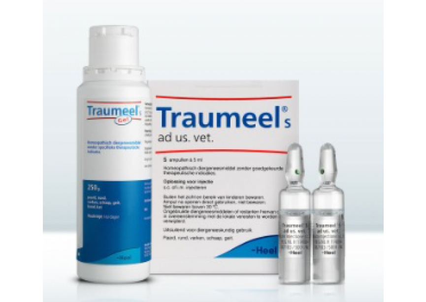 tRAUMEEL