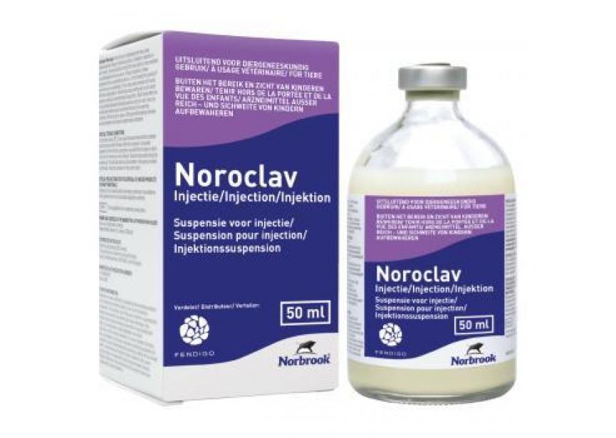 noroclav injection