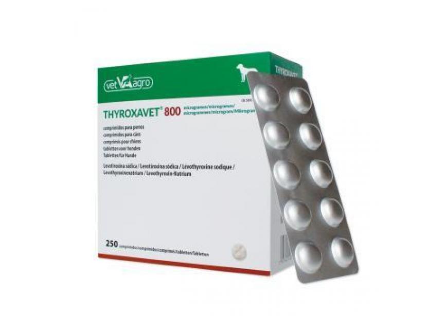 thyroxavet 800