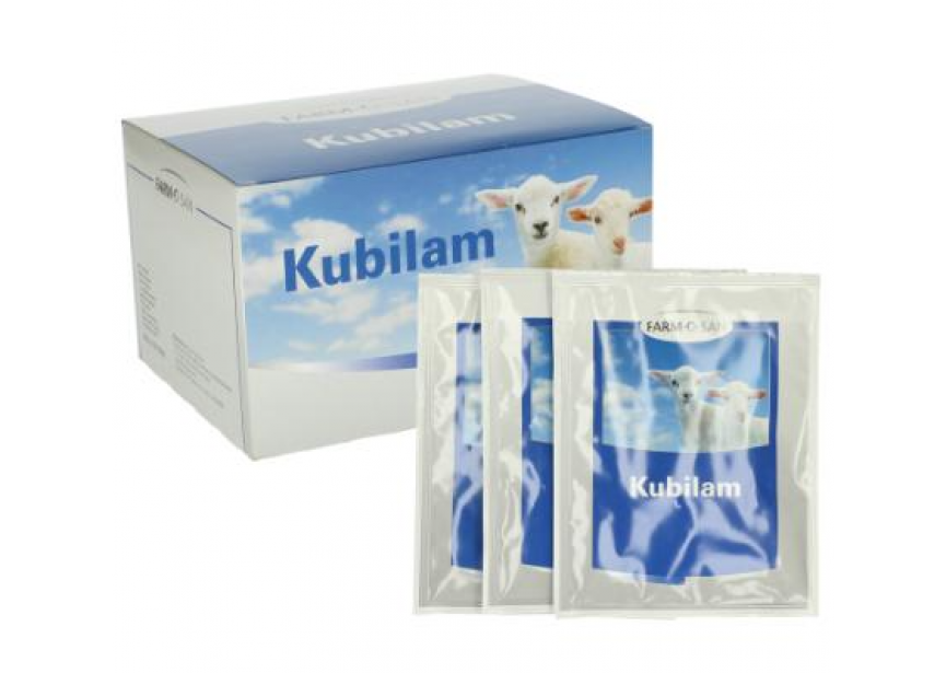 kubilam