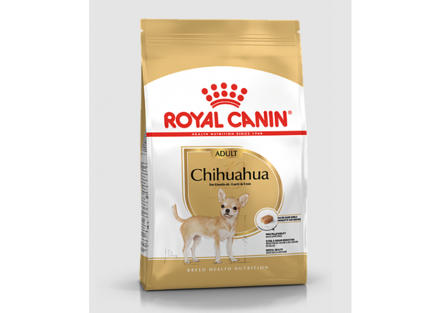 chihuahua