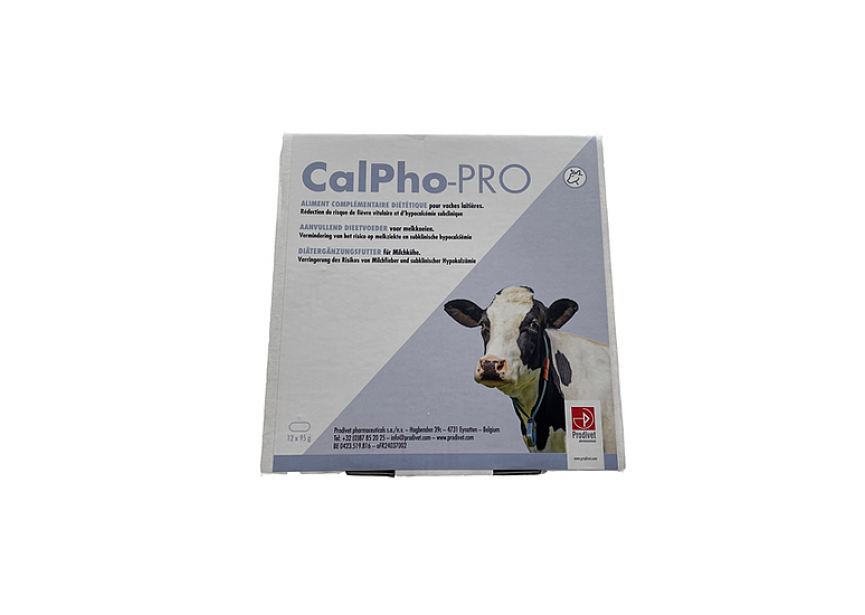 calpho-pro-12x95gr