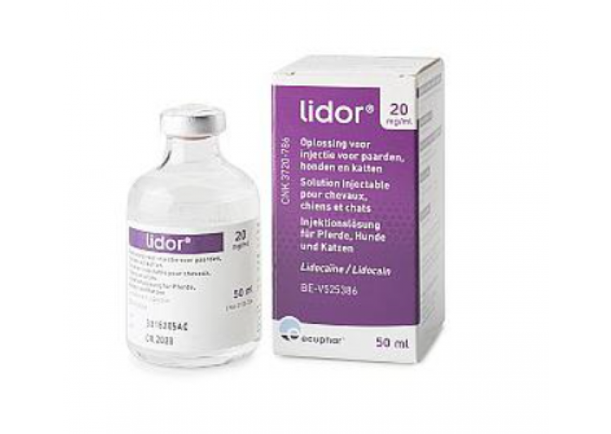 Lidor