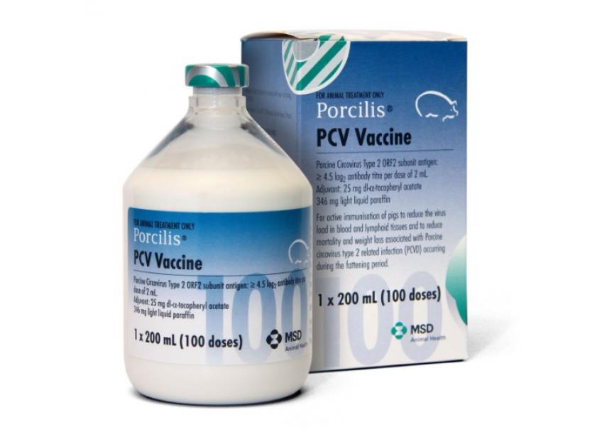 PORCILIS PVC 200ML 100D