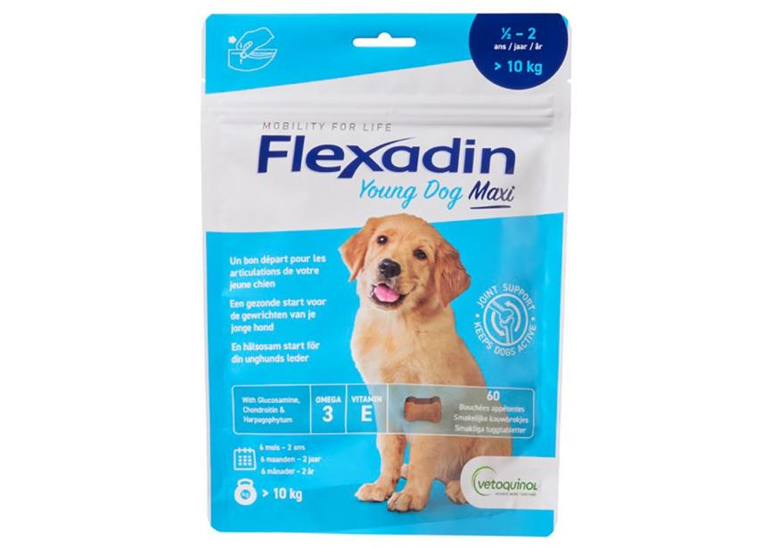 flexadin-dog-young-maxi-60-chew