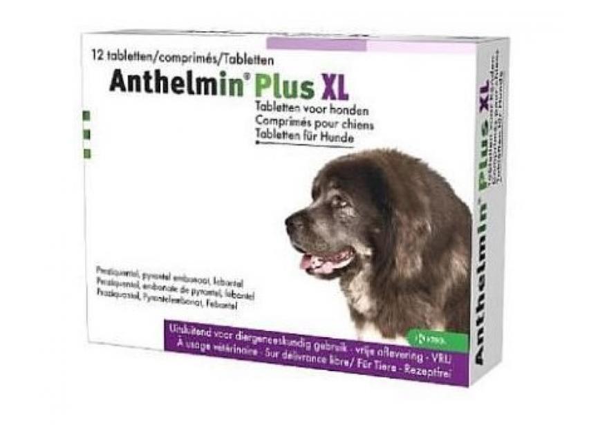 anthelmin-plus-xl-12tabs