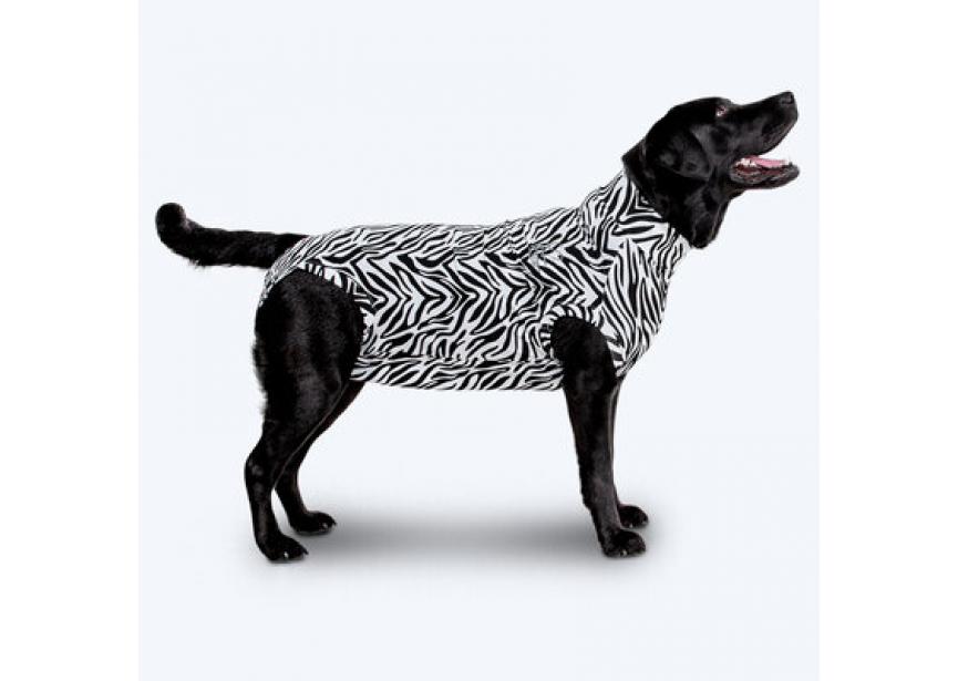 MPS-Shirt-Dog-4_9b7ecf0acc611c9889617d358dfe5cbc