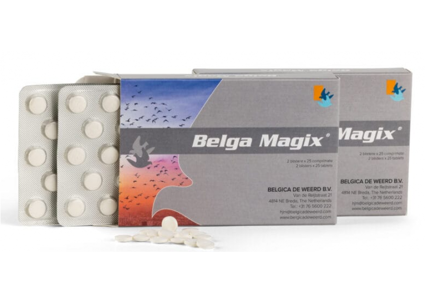 BELGA MAGIX