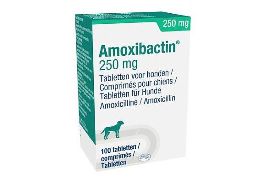 AMOXIBACTIN 250MG 100CO