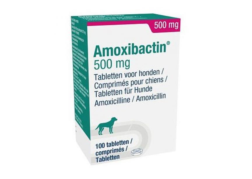 AMOXIBACTIN 500MG 100CO