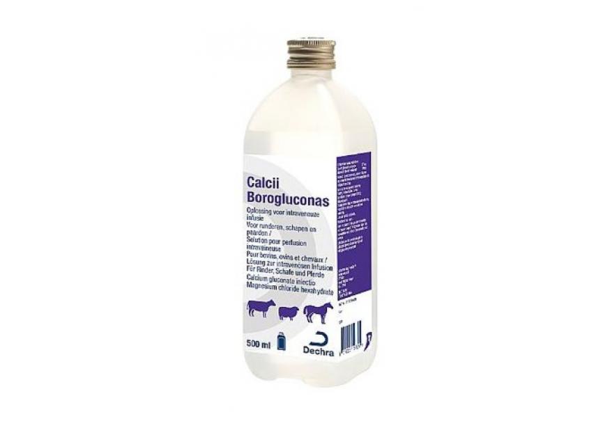 CALCII BOROGLUCONAS 500ML