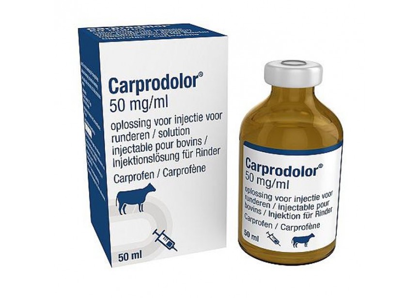 CARPRODOLOR 50MG-ML 50ML