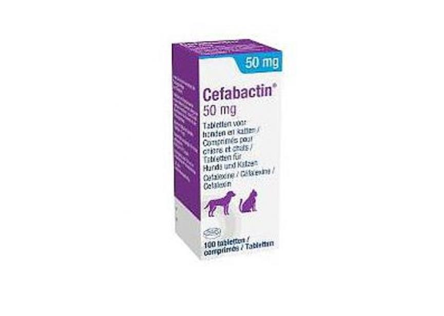 CEFABACTIN 50MG 100CO