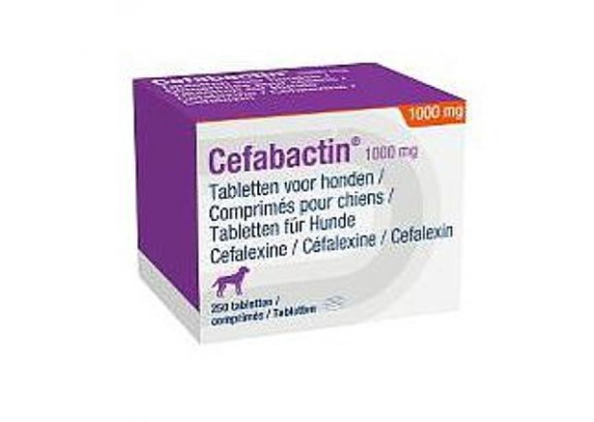 CEFABACTIN 1000MG 250CO