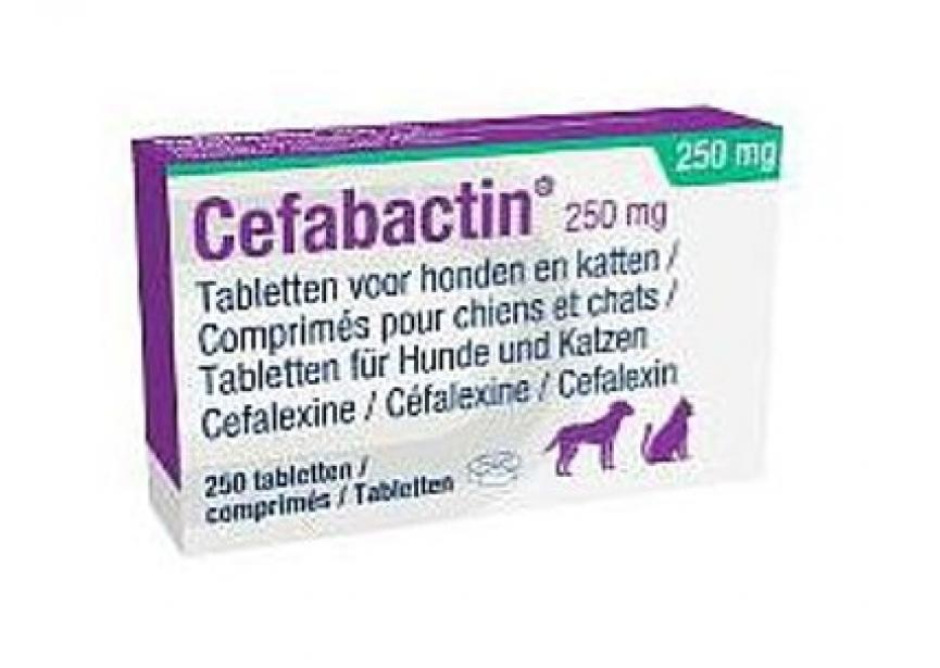 CEFABACTIN 250MG 250CO