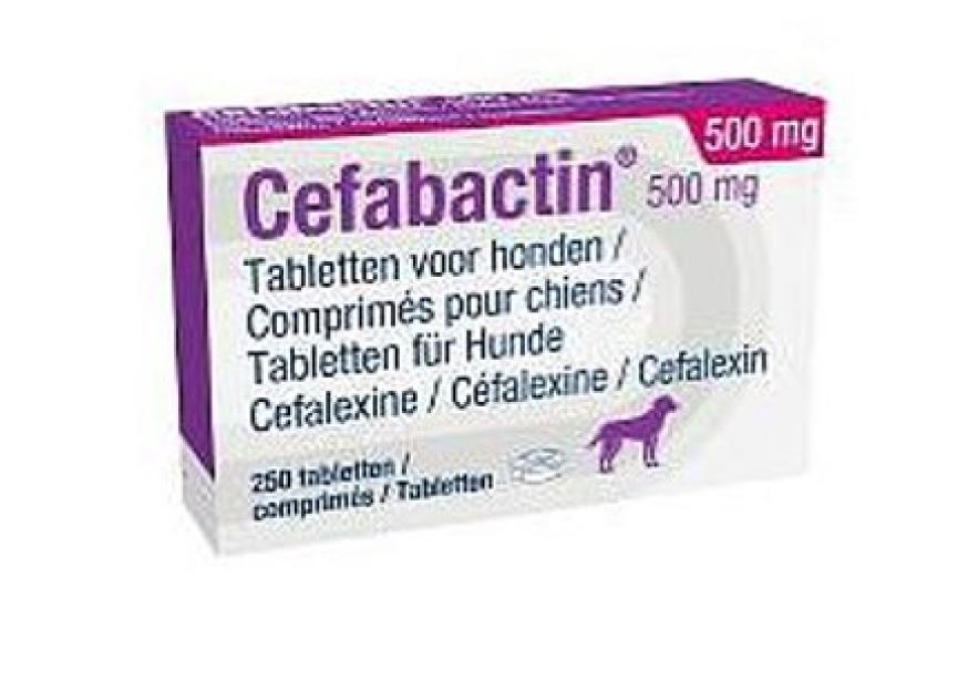 CEFABACTIN 500MG 250CO