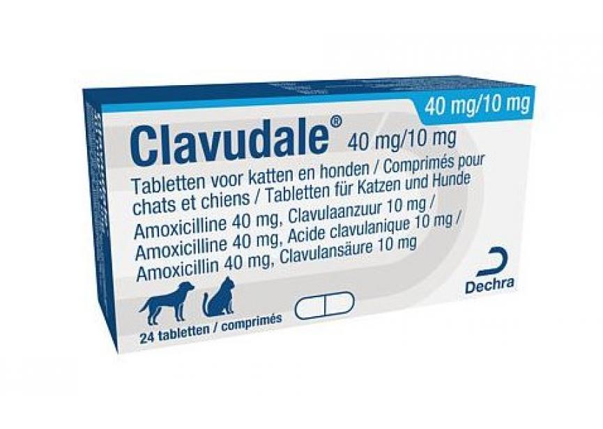 CLAVUDALE 40MG-10MG 24CO