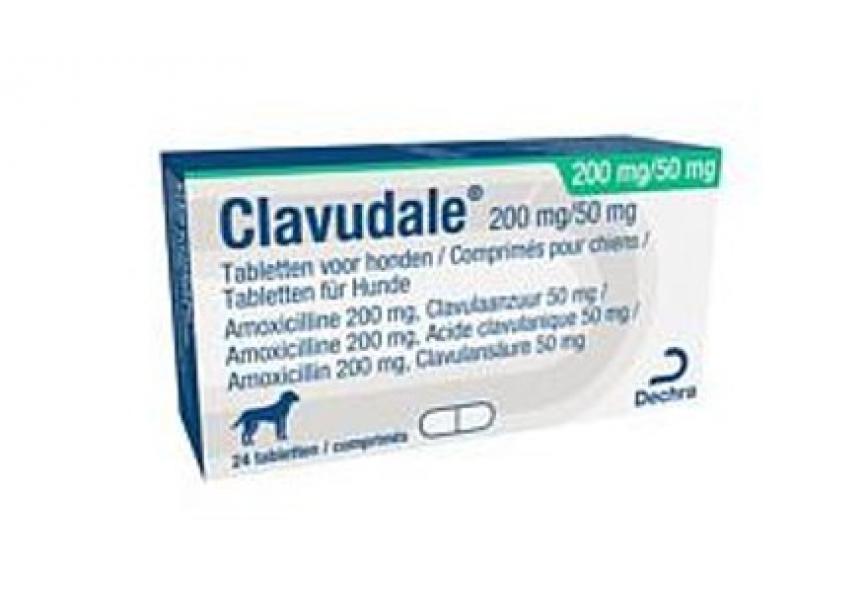 CLAVUDALE 200MG-50MG 24CO