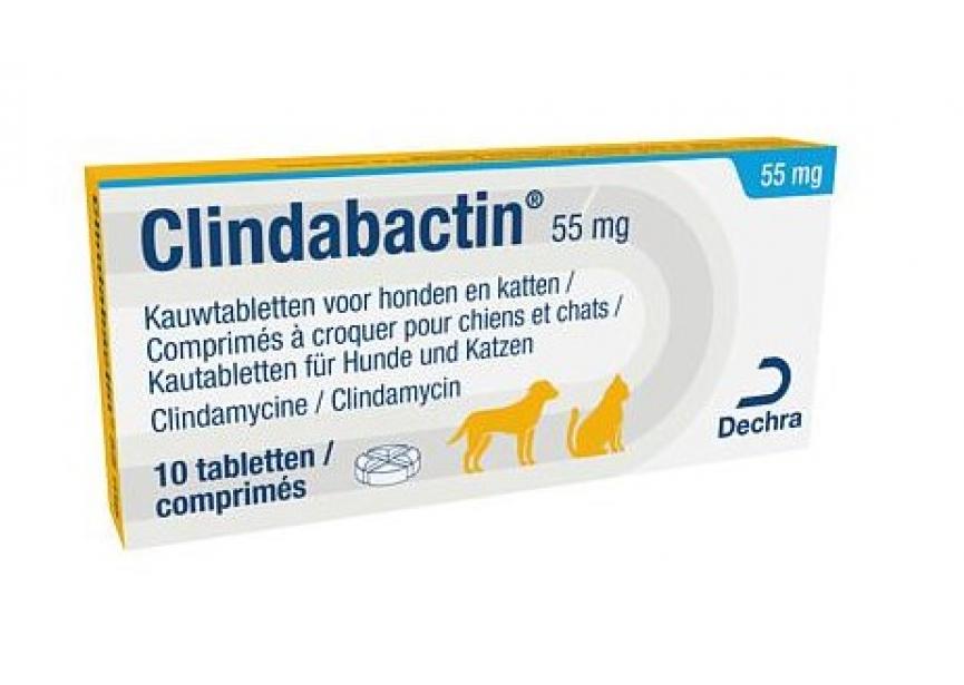 CLINDABACTIN 55MG 10CO