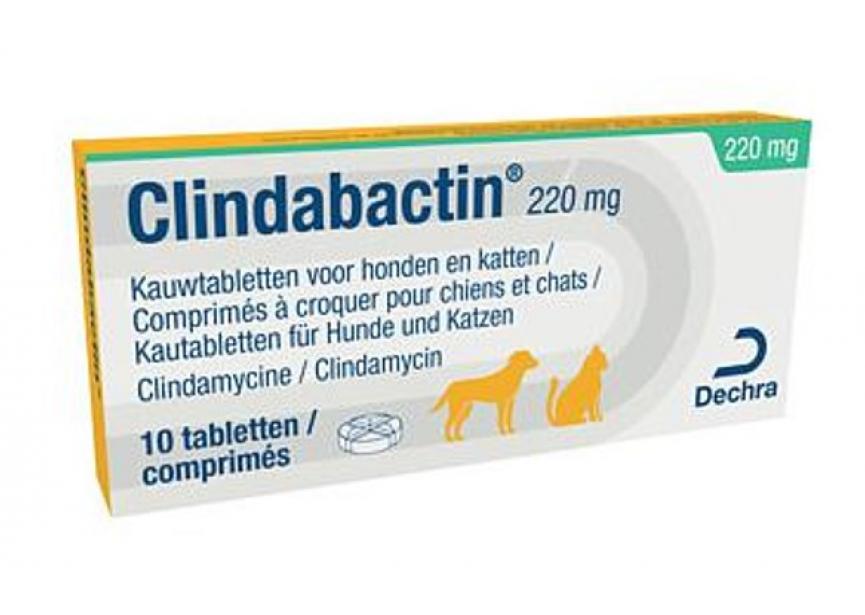 CLINDABACTIN 220MG 10CO