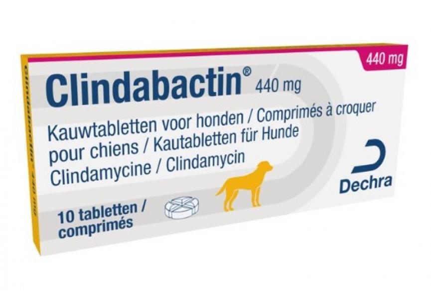 CLINDABACTIN 440MG 10CO