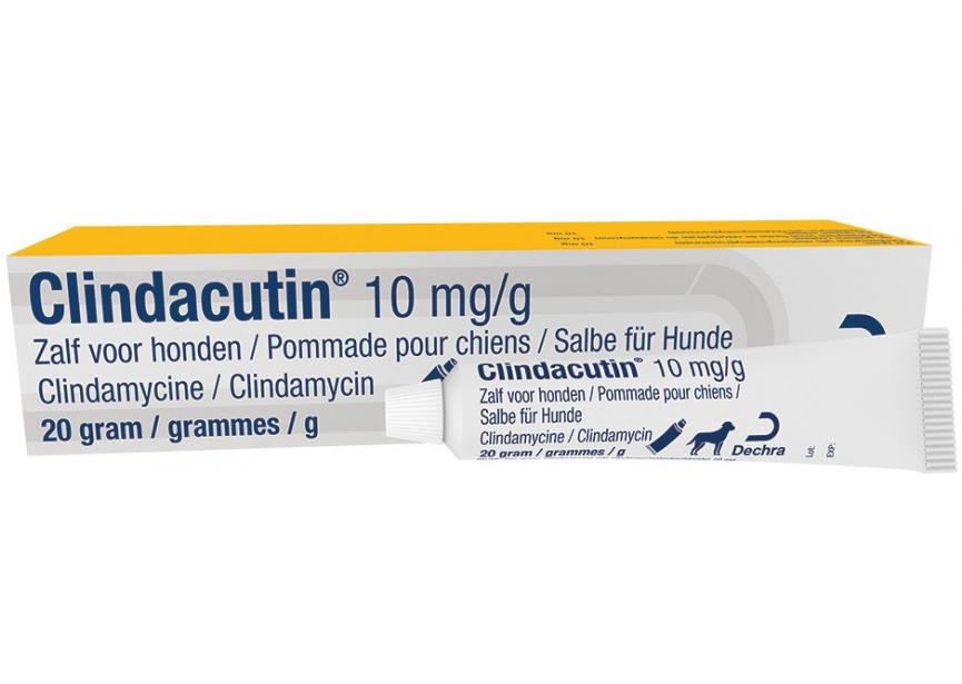 CLINDACUTIN 10MG-G 20G