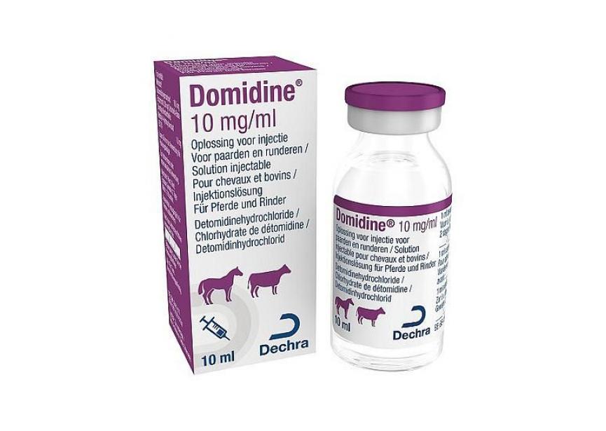 DOMIDINE 10ML