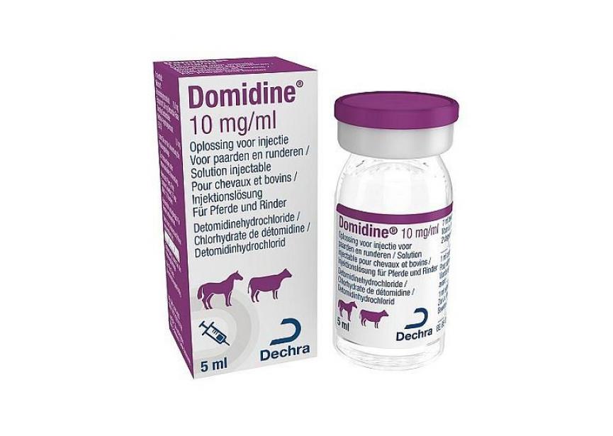 DOMIDINE 5ML