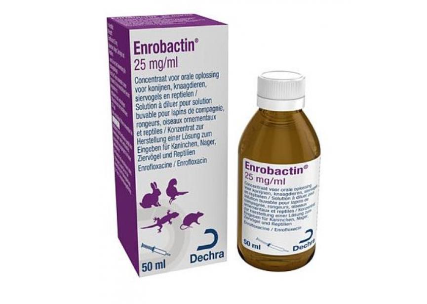 ENROBACTIN 25MG-ML 50ML