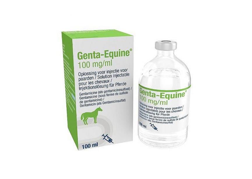 GENTA EQUINE 100MG-ML INJ 100ML