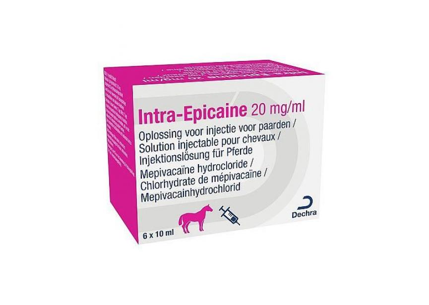 INTRA-EPICAINE 20MG-ML 6X 10ML