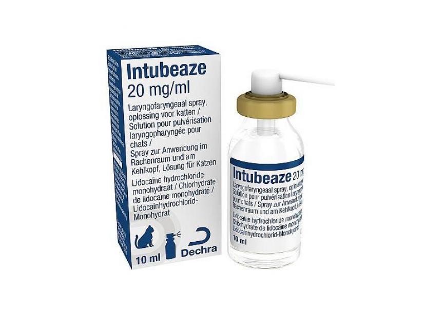 INTUBEAZE 20MG-ML 10ML