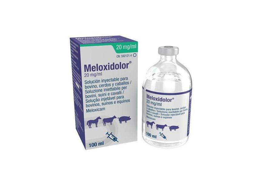 MELOXIDOLOR 20MG-ML 100ML