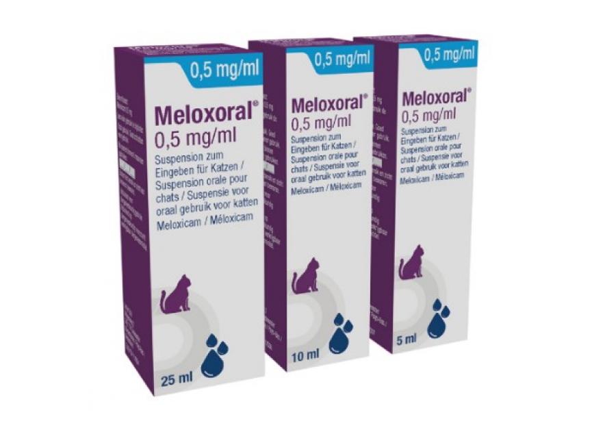 MELOXORAL 0,5MG-ML