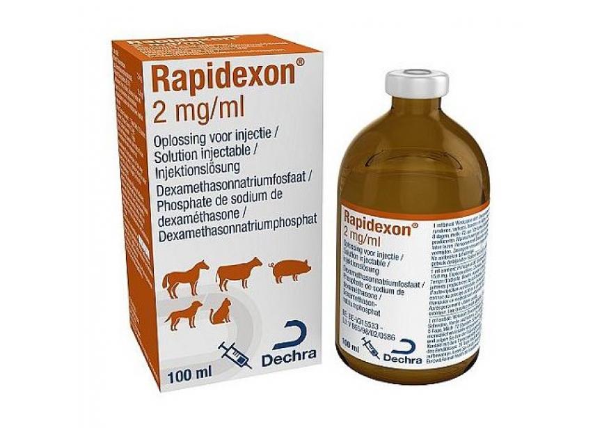 RAPIDEXON 100ML