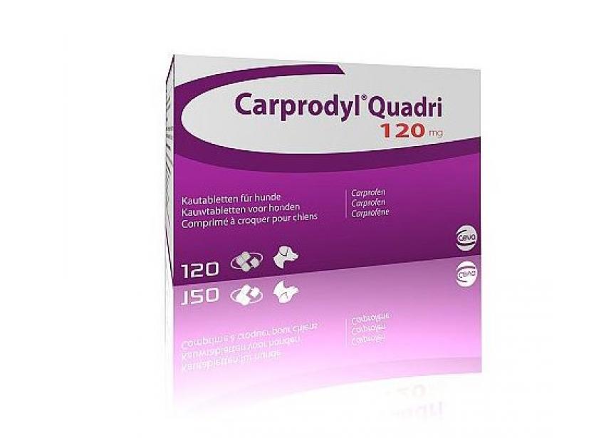 CARPRODYL QUADRI 120MG 120CO