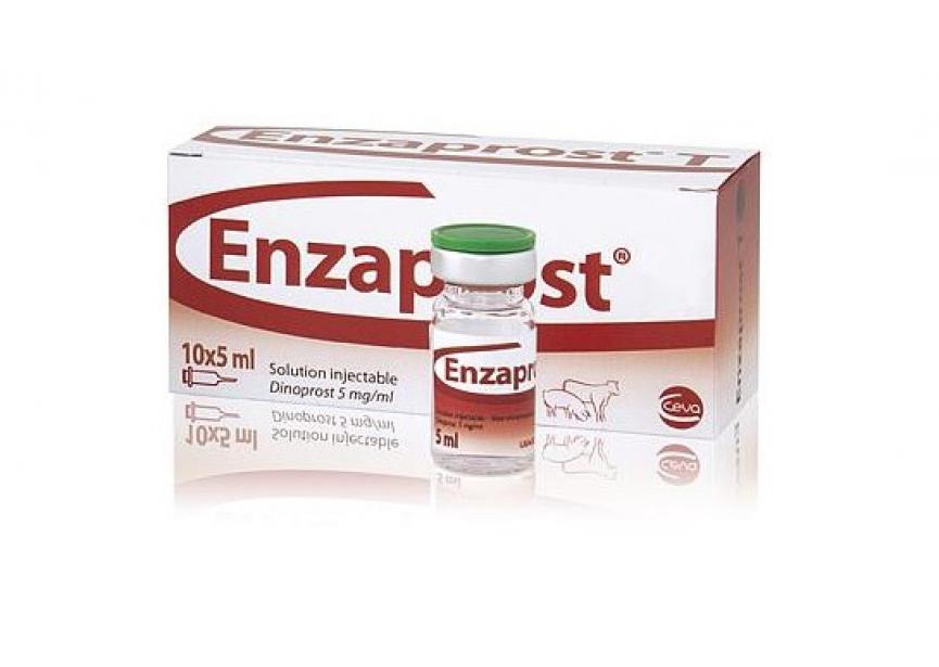 ENZAPROST 10X5ML